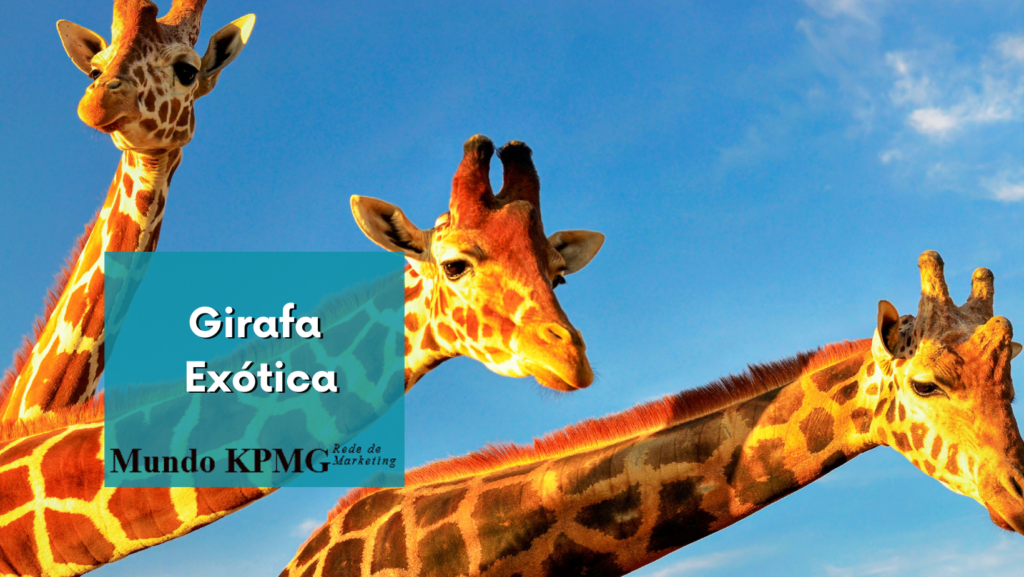 girafa