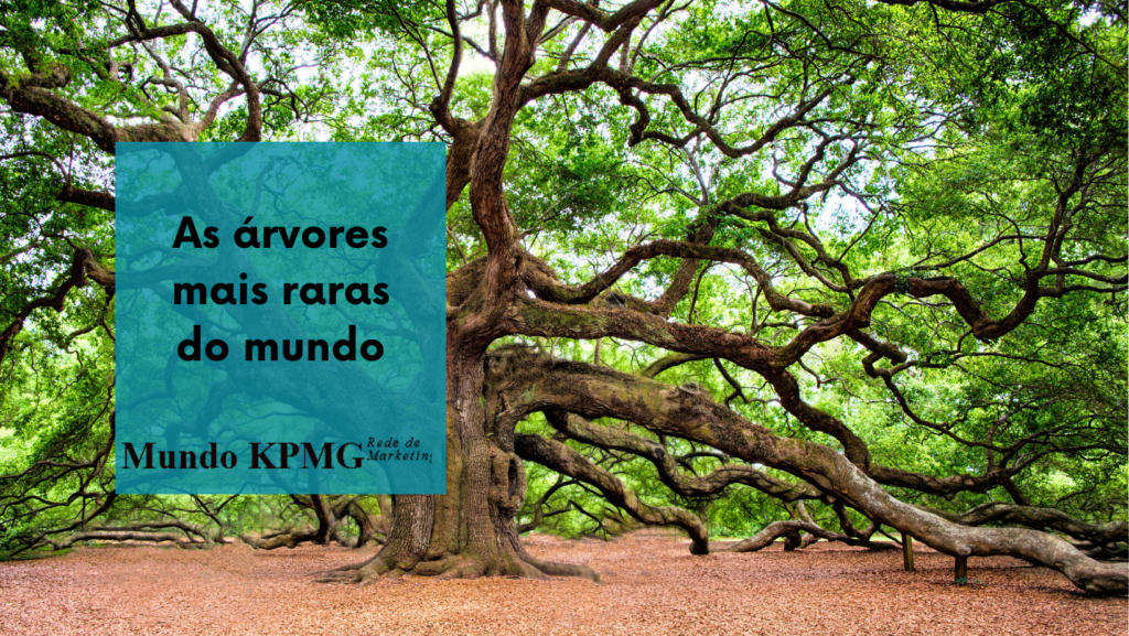 Árvores