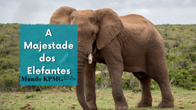 Elefantes