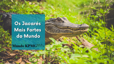 Jacarés Mais Fortes