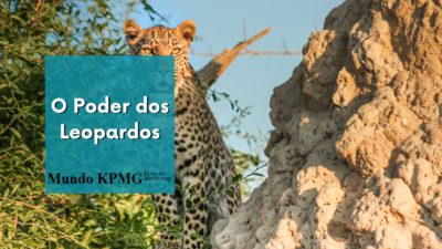 Leopardos