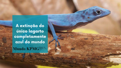 lagarto