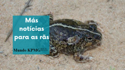 rãs