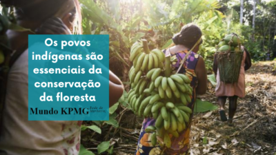 floresta