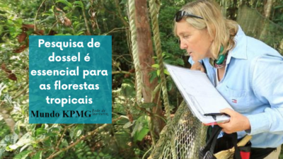 florestas tropicais