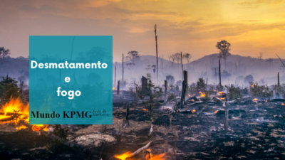 Desmatamento e fogo
