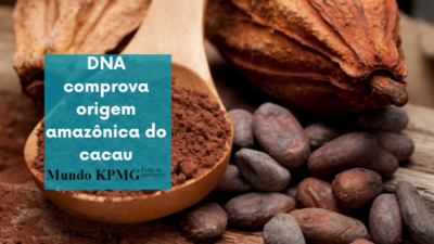 cacau