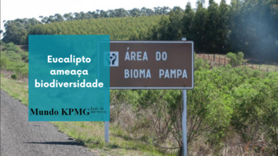 biodiversidade